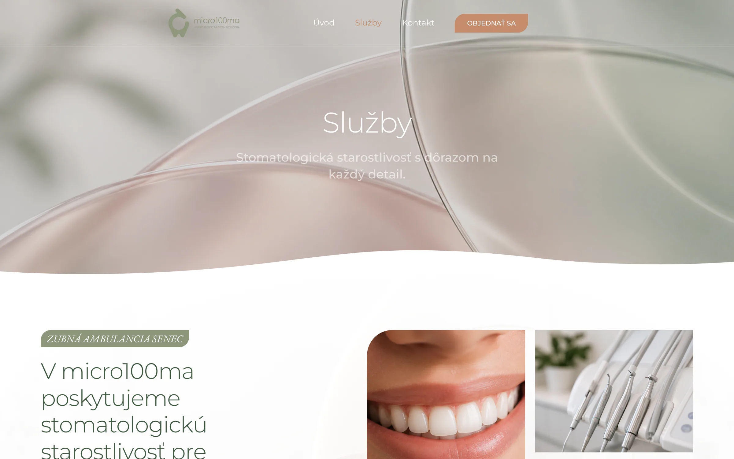 Stránka Služby na webe micro100ma
