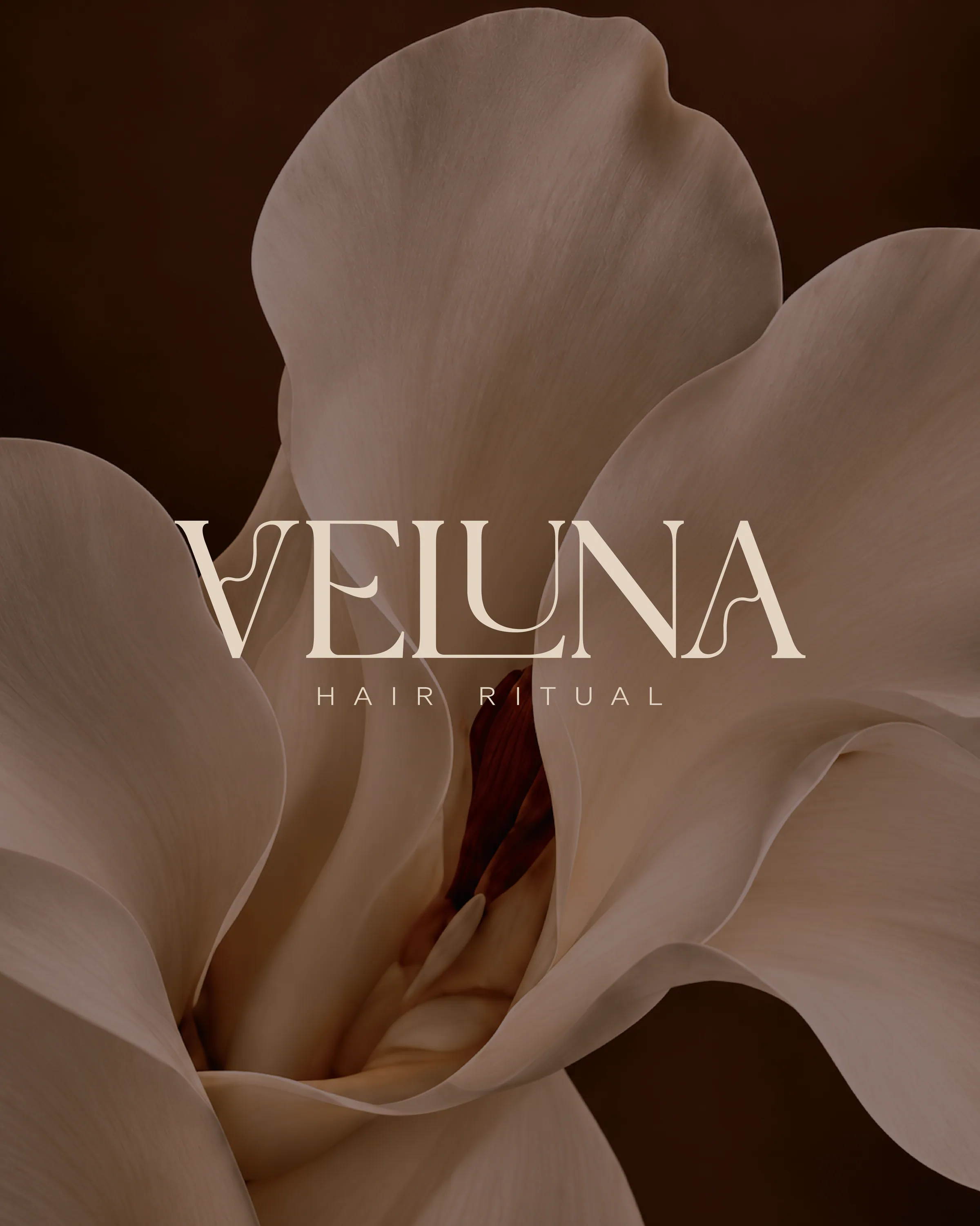 Logo VELUNA na detaile krémového kvetu